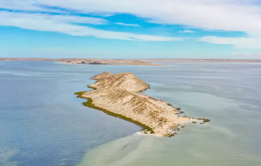 Île du Dragon - Dakhla